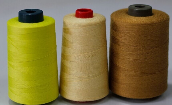 Top Notch Flame Retardant Embroidery Thread NE40s/2 Untuk Manufaktur Tekstil