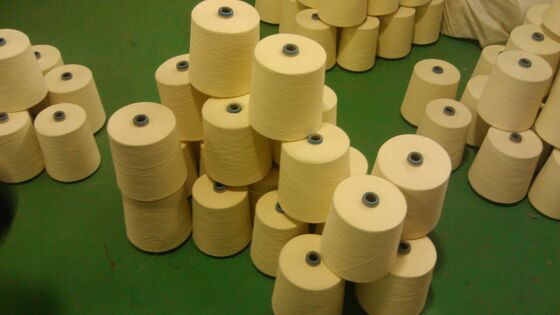 Tahan terhadap bahan kimia dan sinar matahari Tahan api Jumlah benang Ne38 2 Ideal untuk pakaian keselamatan dan tekstil tahan api